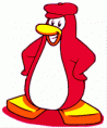 Club Penguin Roocki